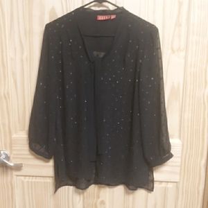 Ellen Large Black Sheer Blouse